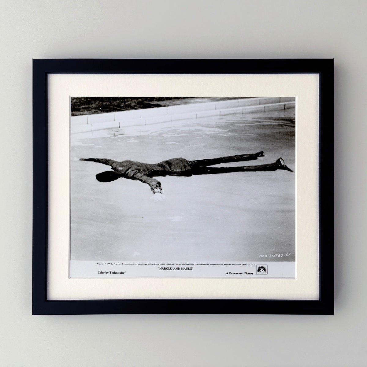 Harold and Maude 1971 Film Movie Press Publicity Still Framed