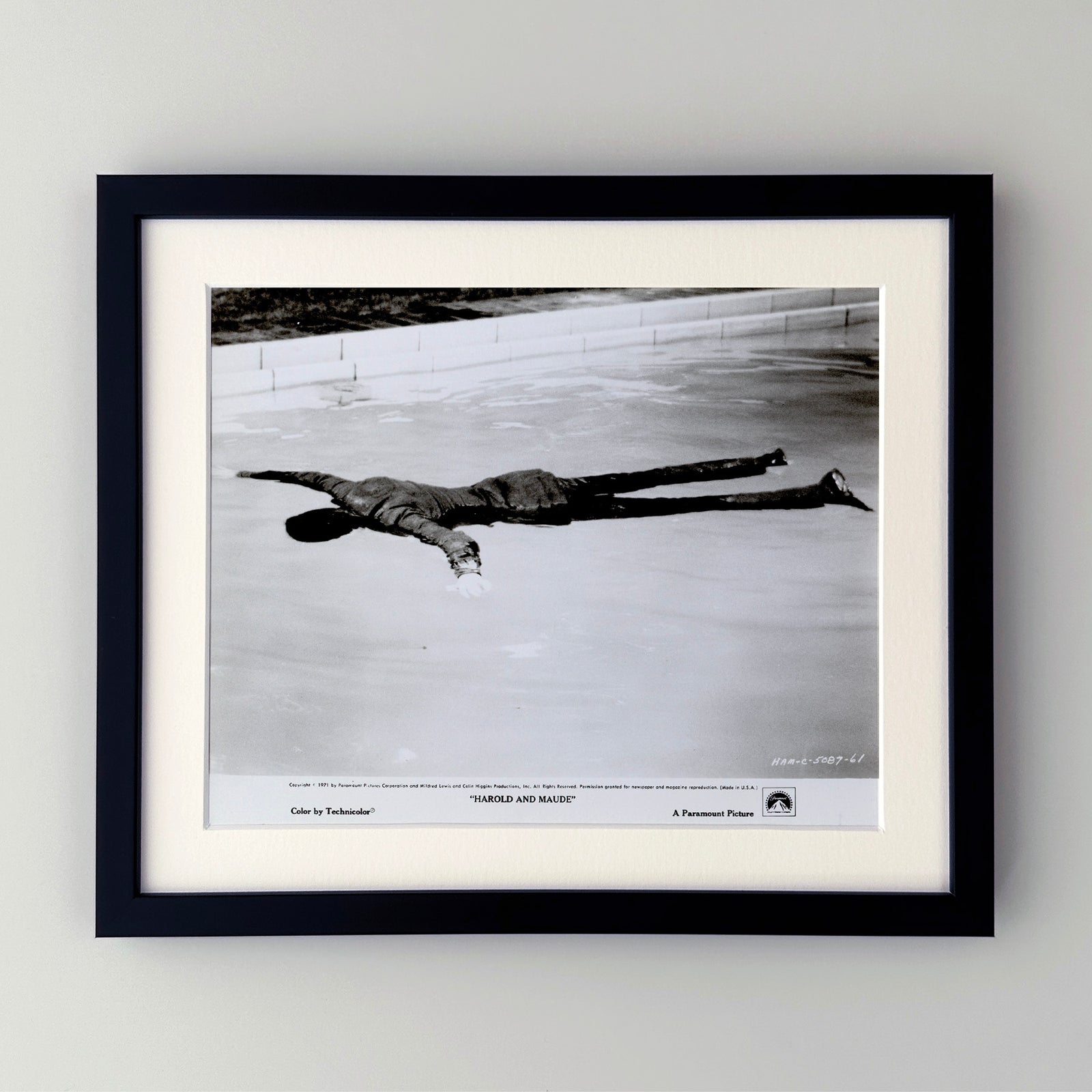 Harold and Maude 1971 Film Movie Press Publicity Still Framed