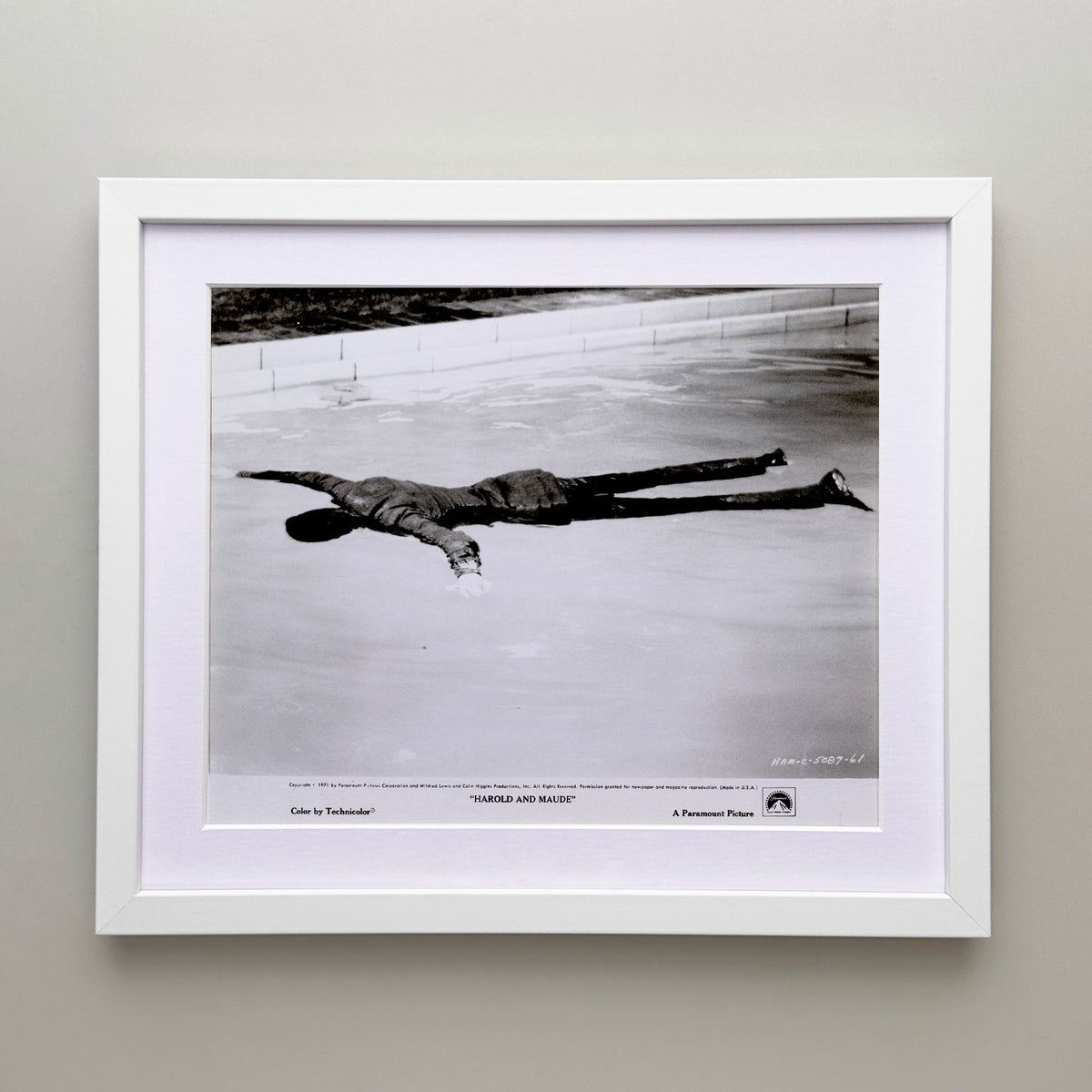 Harold and Maude 1971 Film Movie Press Publicity Still Framed