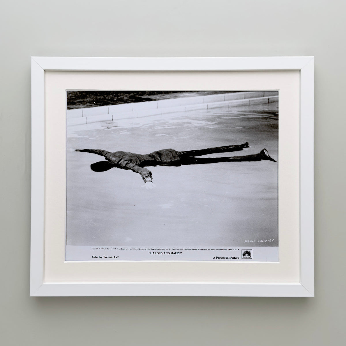 Harold and Maude 1971 Film Movie Press Publicity Still Framed