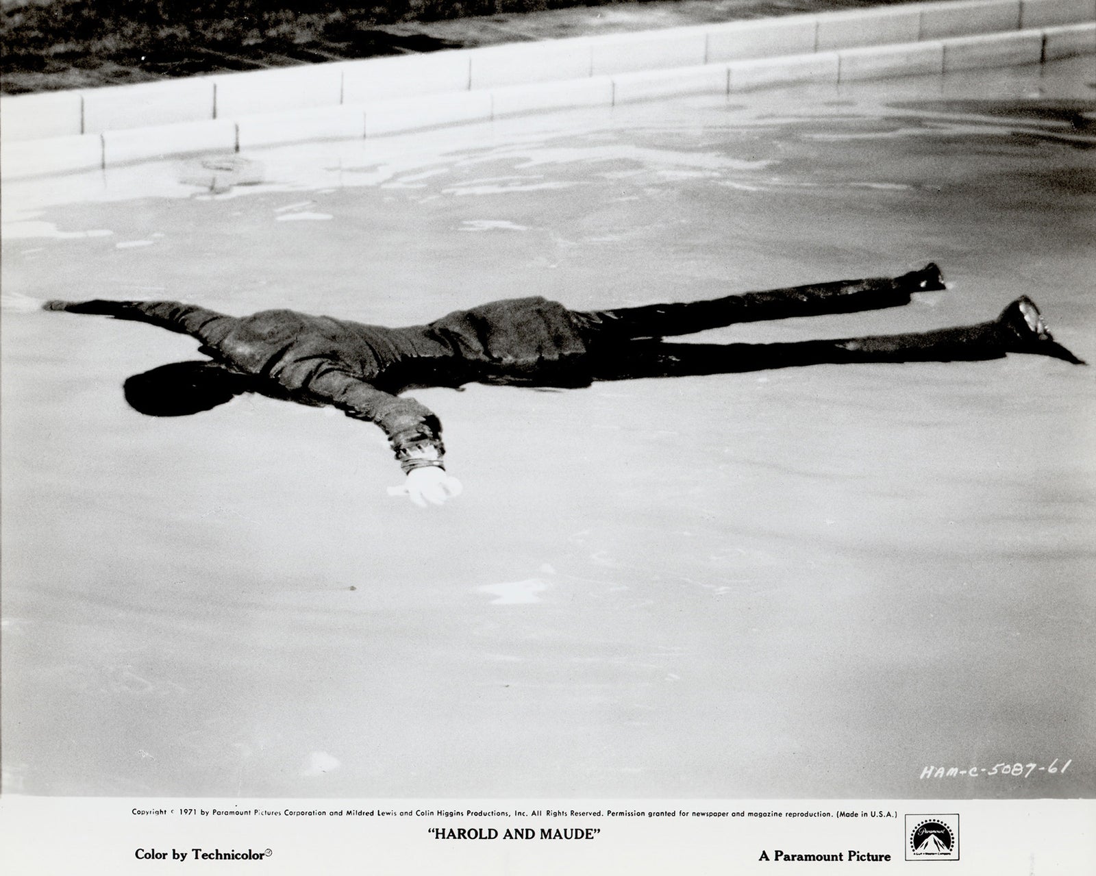 Harold and Maude 1971 Film Movie Press Publicity Still Framed