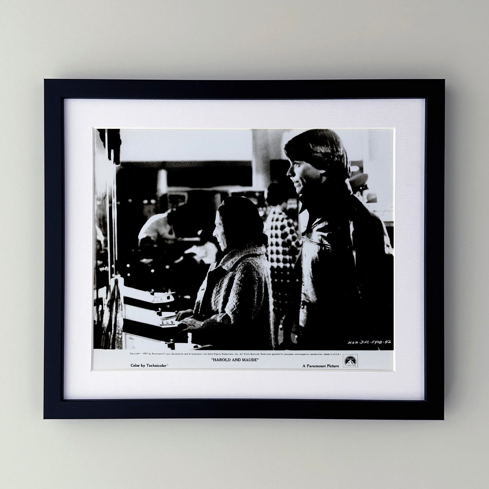 Harold and Maude 1971 Film Movie Press Publicity Still Framed