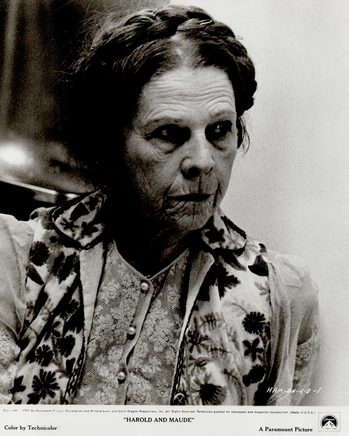 Harold and Maude 1971 Film Movie Press Publicity Still Framed