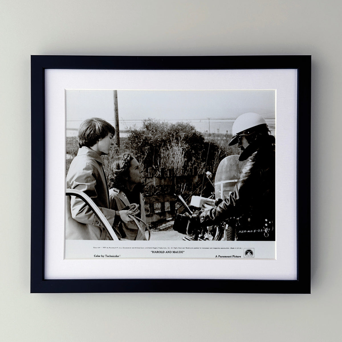 Harold and Maude 1971 Film Movie Press Publicity Still Framed