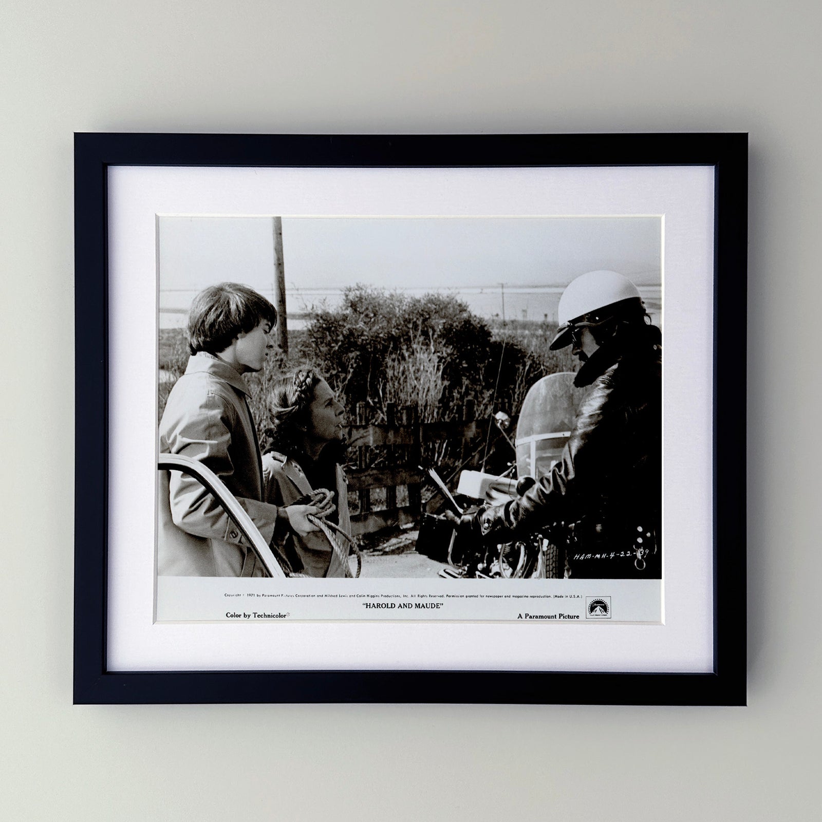 Harold and Maude 1971 Film Movie Press Publicity Still Framed