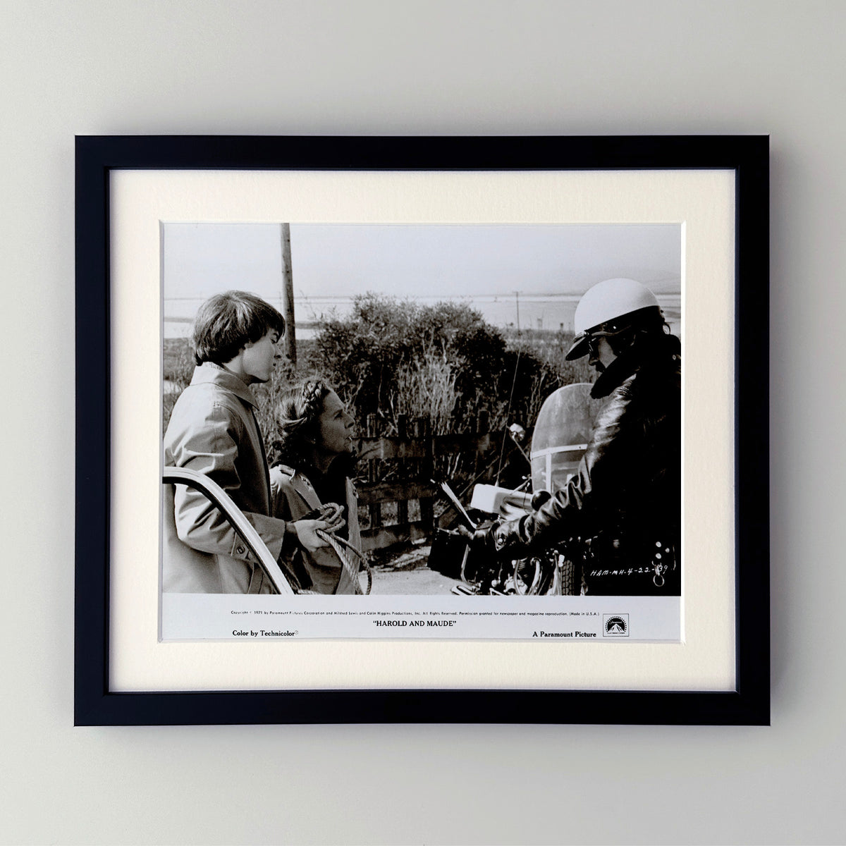 Harold and Maude 1971 Film Movie Press Publicity Still Framed