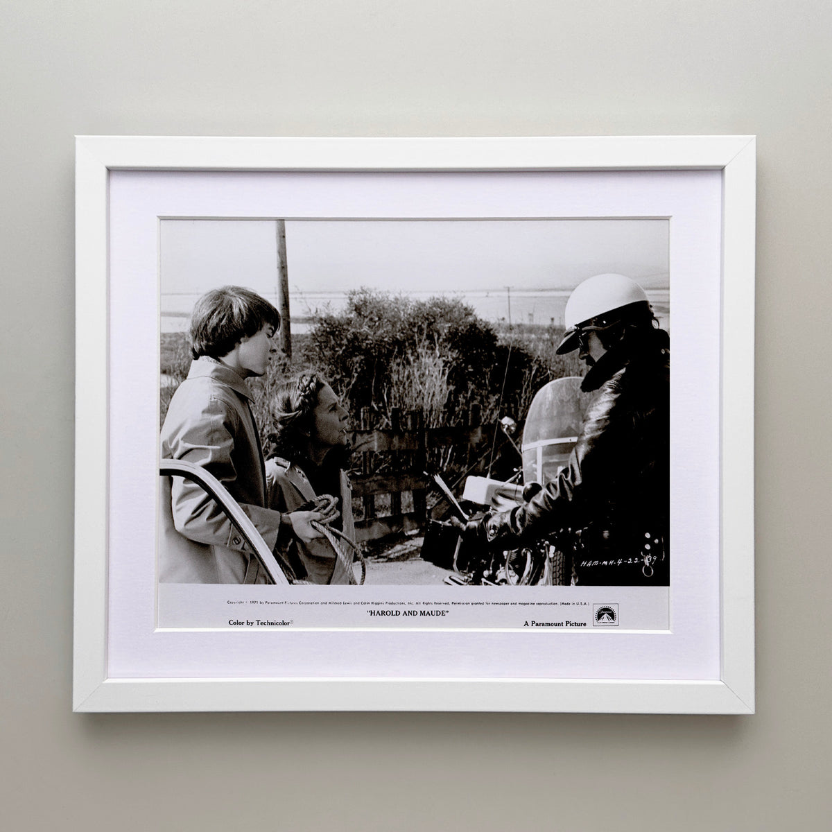 Harold and Maude 1971 Film Movie Press Publicity Still Framed