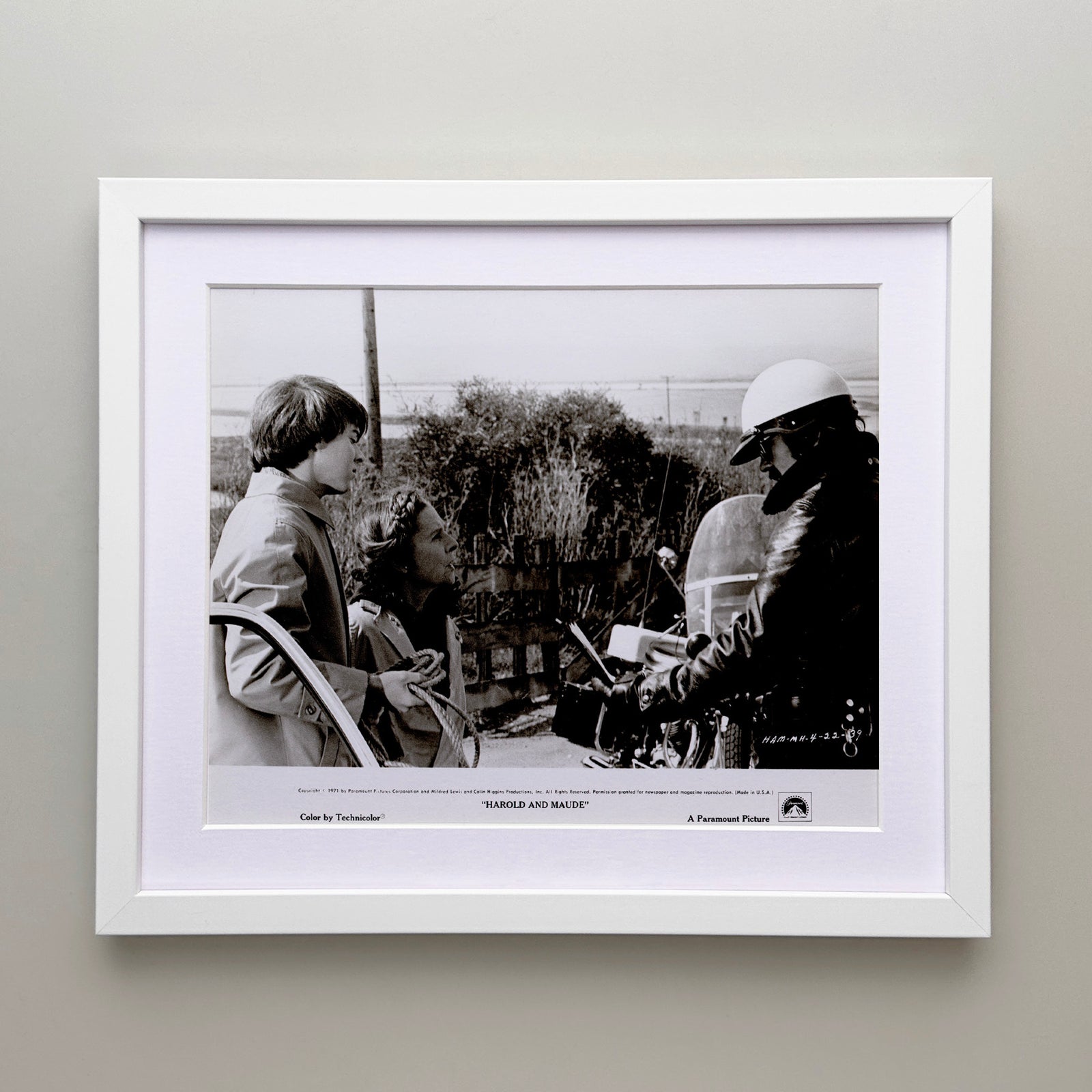 Harold and Maude 1971 Film Movie Press Publicity Still Framed