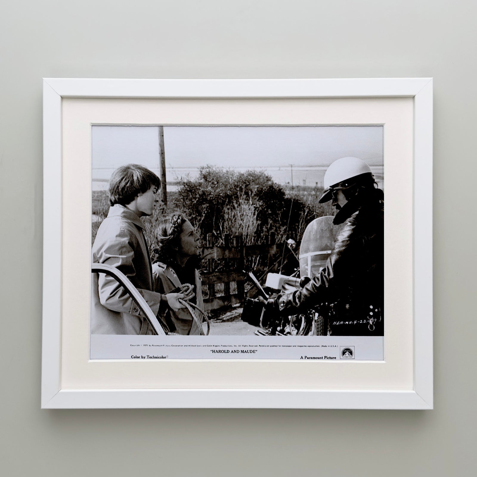 Harold and Maude 1971 Film Movie Press Publicity Still Framed
