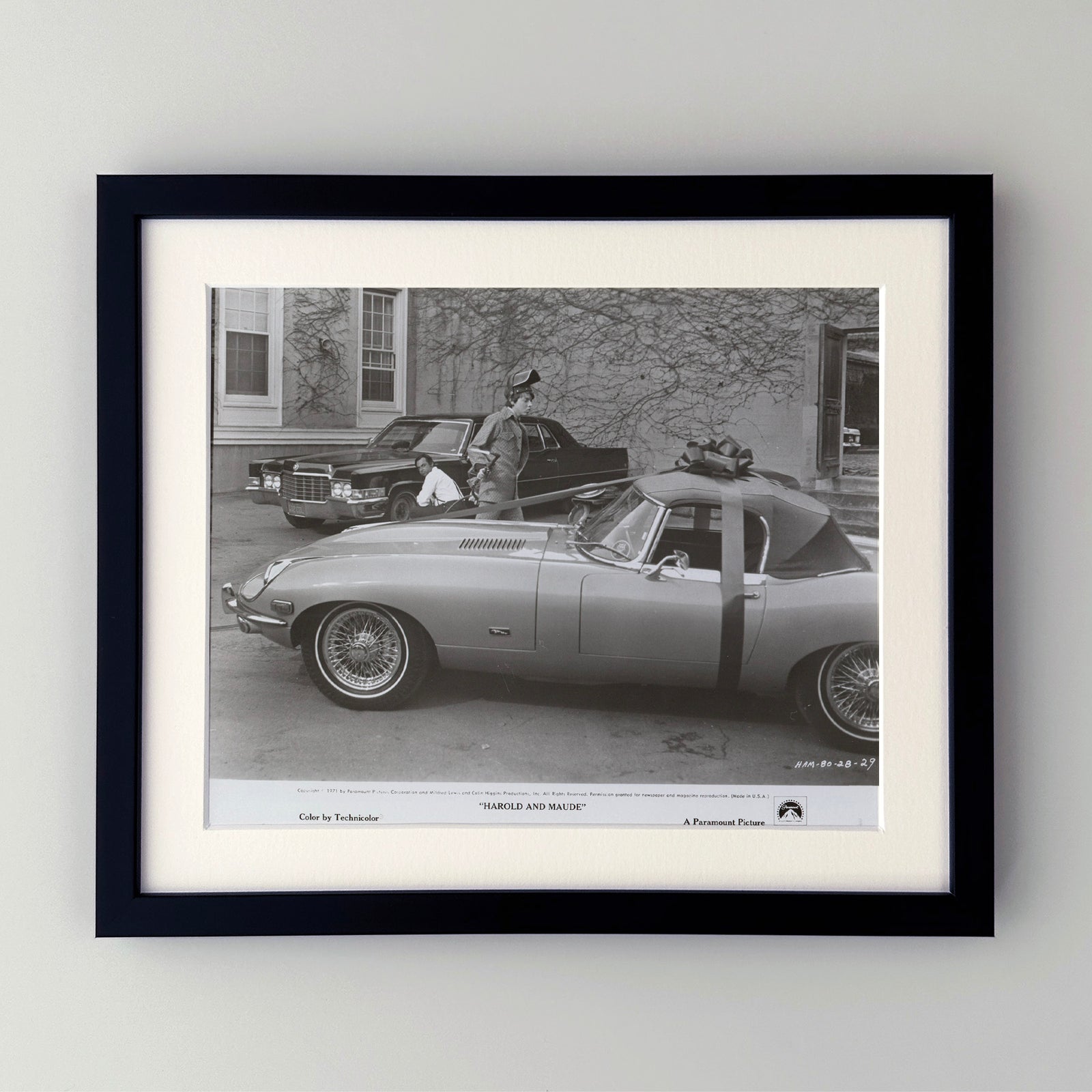 Harold and Maude 1971 Film Movie Press Publicity Still Framed