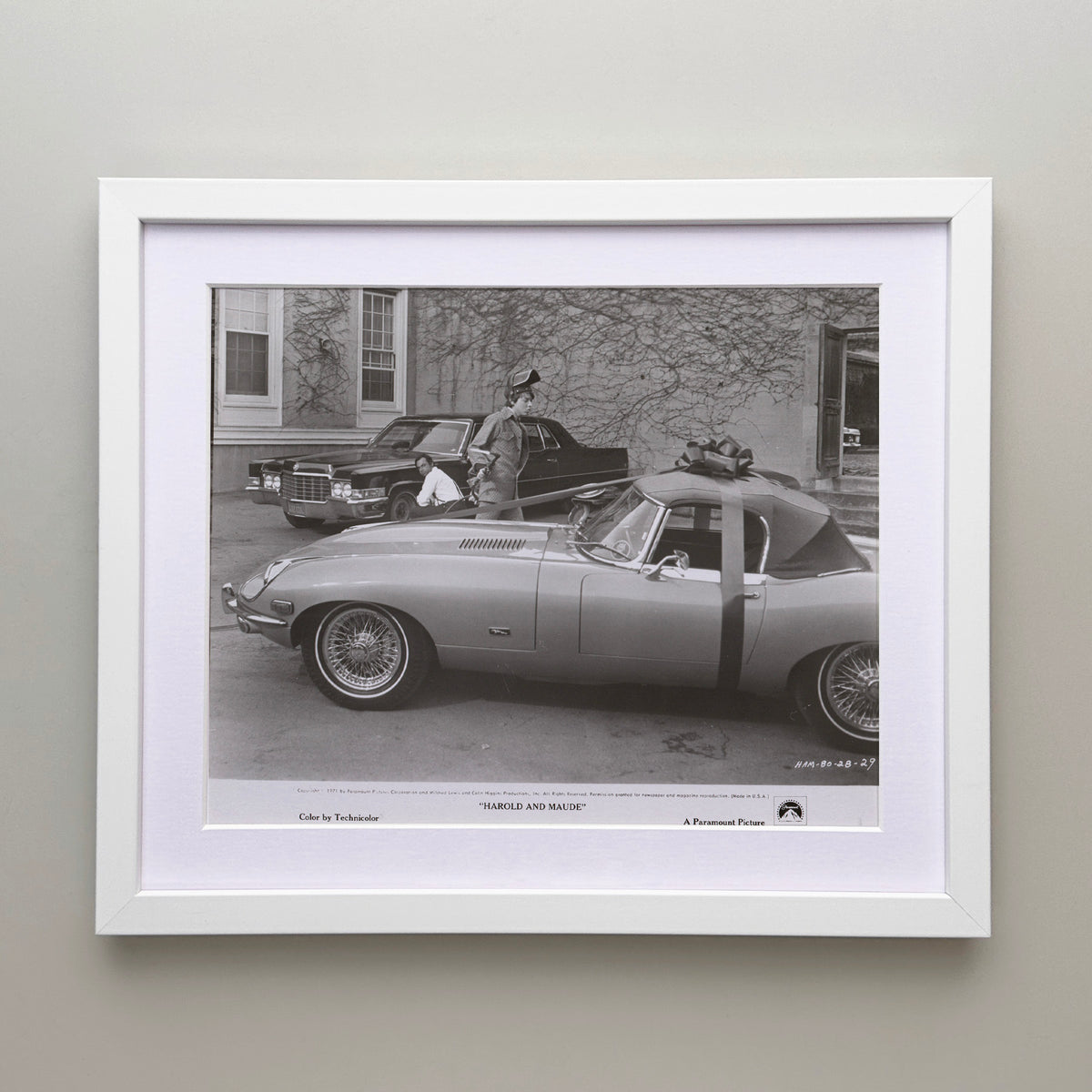 Harold and Maude 1971 Film Movie Press Publicity Still Framed