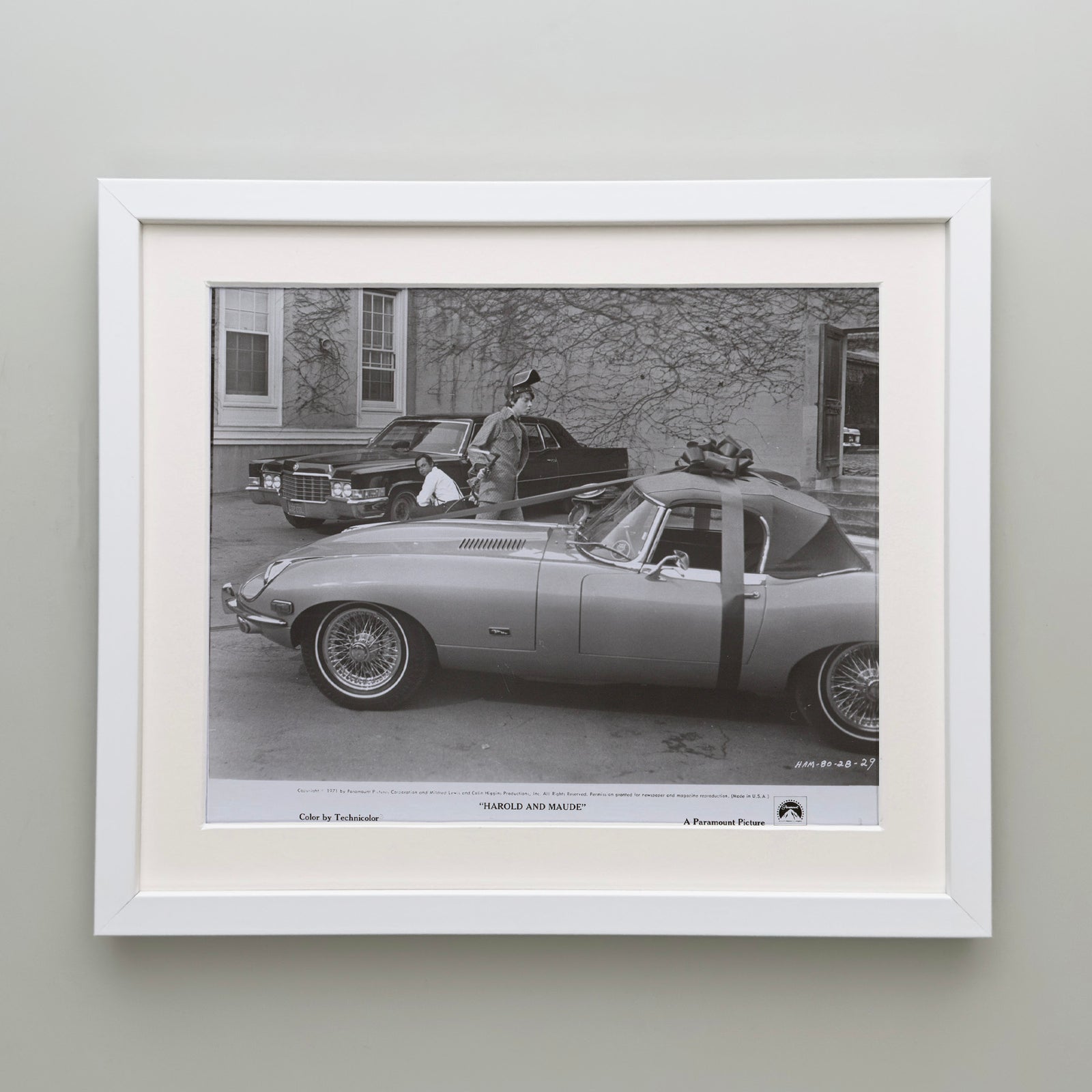 Harold and Maude 1971 Film Movie Press Publicity Still Framed