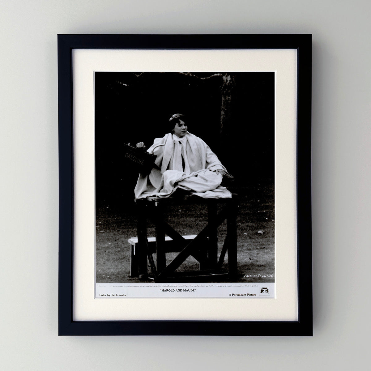 Harold and Maude 1971 Film Movie Press Publicity Still Framed