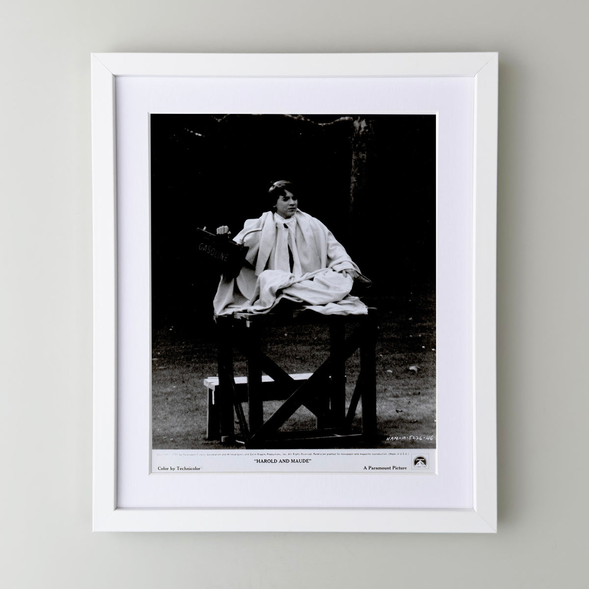 Harold and Maude 1971 Film Movie Press Publicity Still Framed