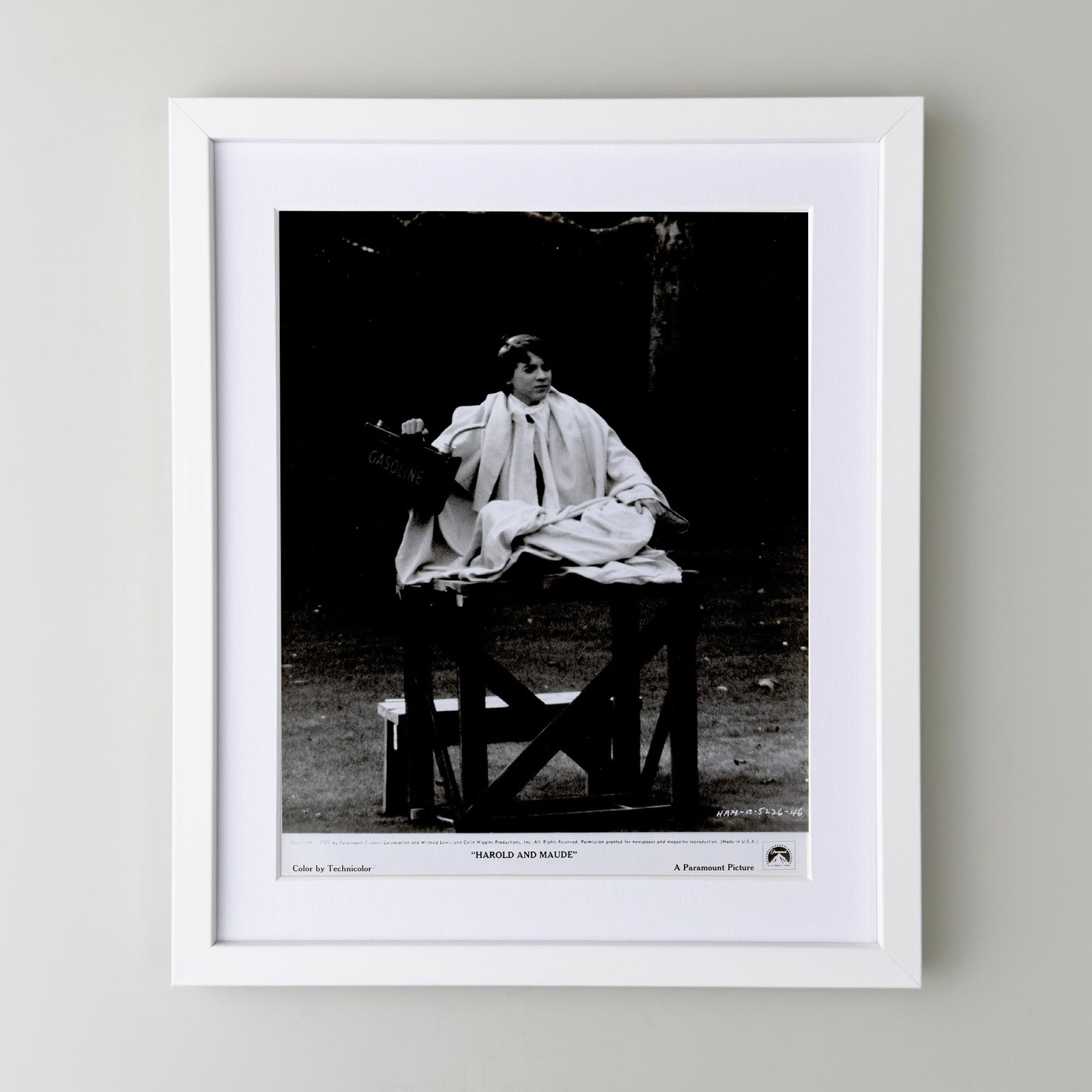 Harold and Maude 1971 Film Movie Press Publicity Still Framed