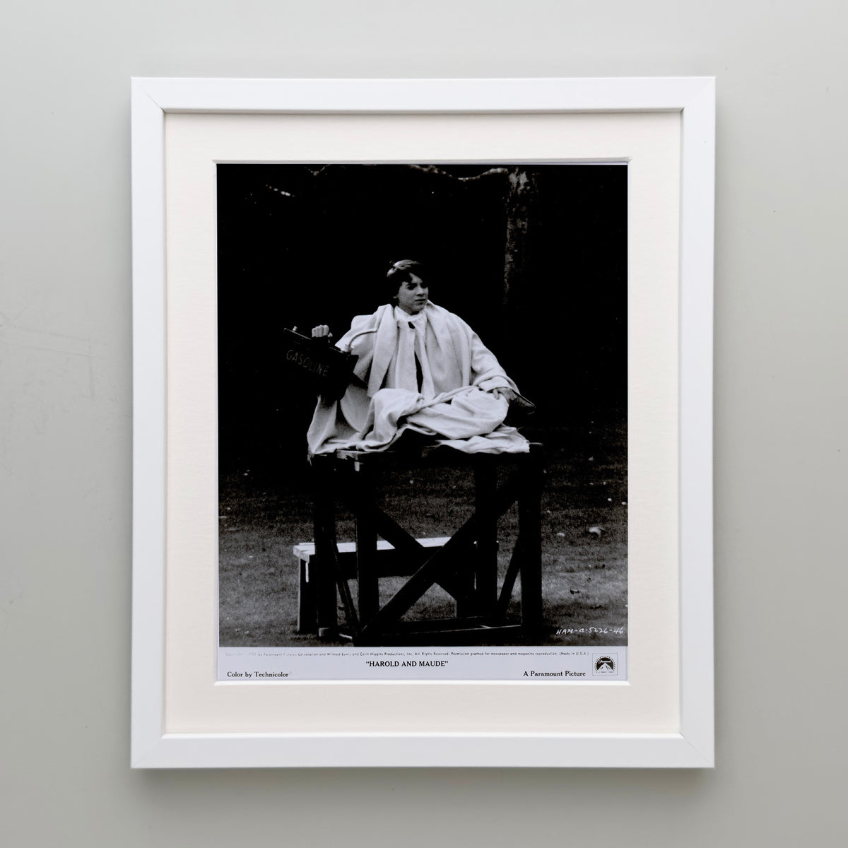 Harold and Maude 1971 Film Movie Press Publicity Still Framed