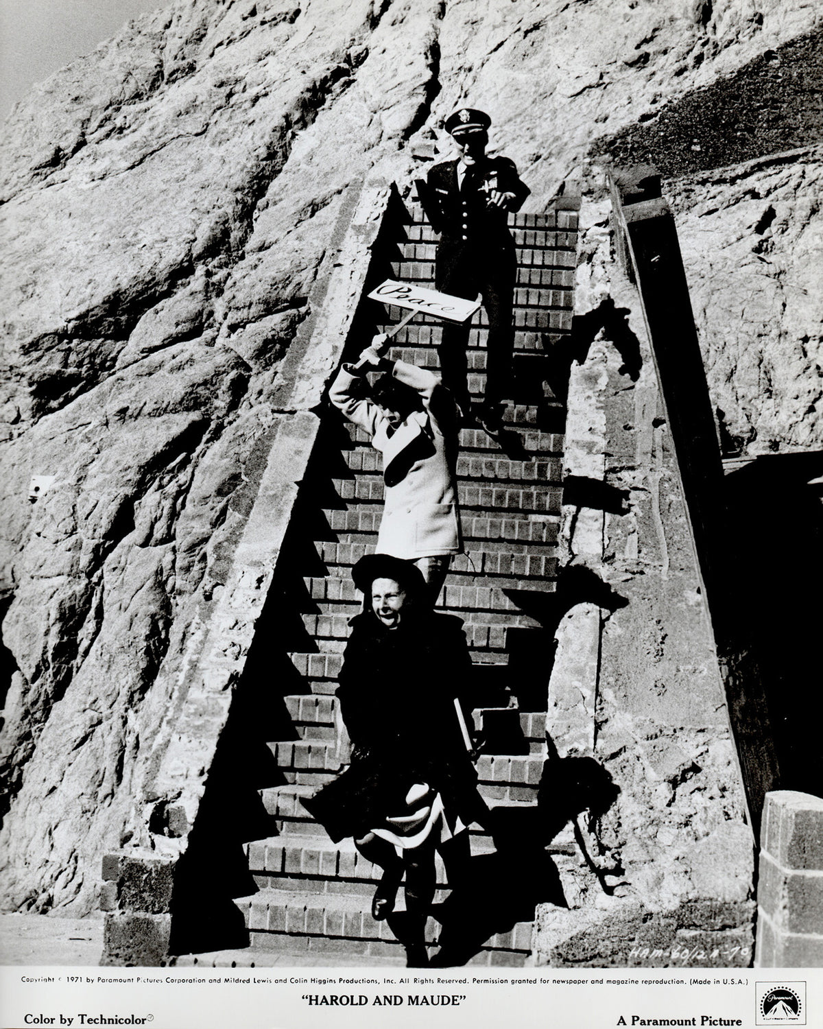 Harold and Maude 1971 Film Movie Press Publicity Still Framed