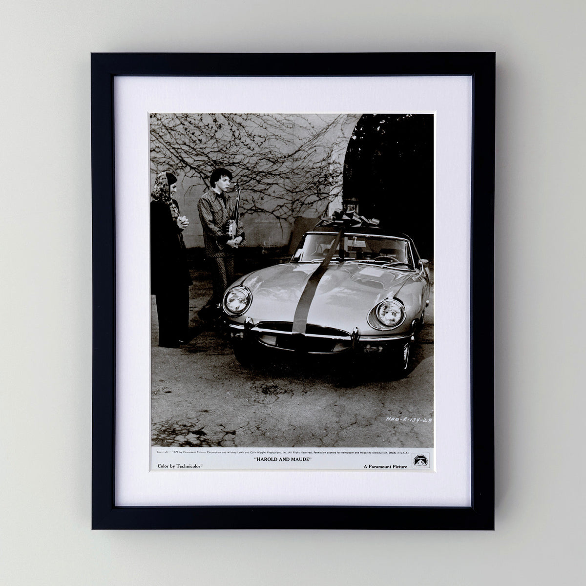 Harold and Maude 1971 Film Movie Press Publicity Still Framed