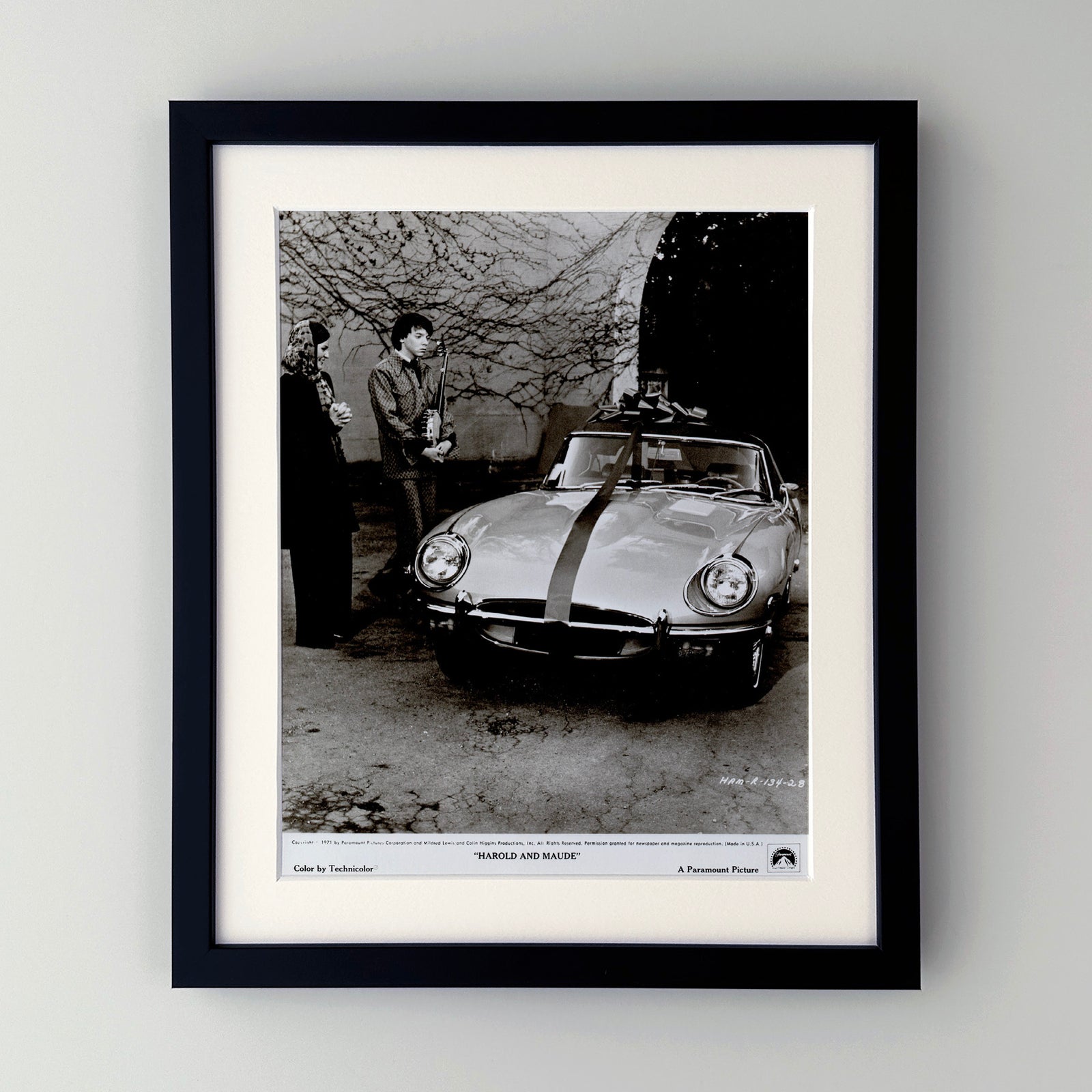 Harold and Maude 1971 Film Movie Press Publicity Still Framed