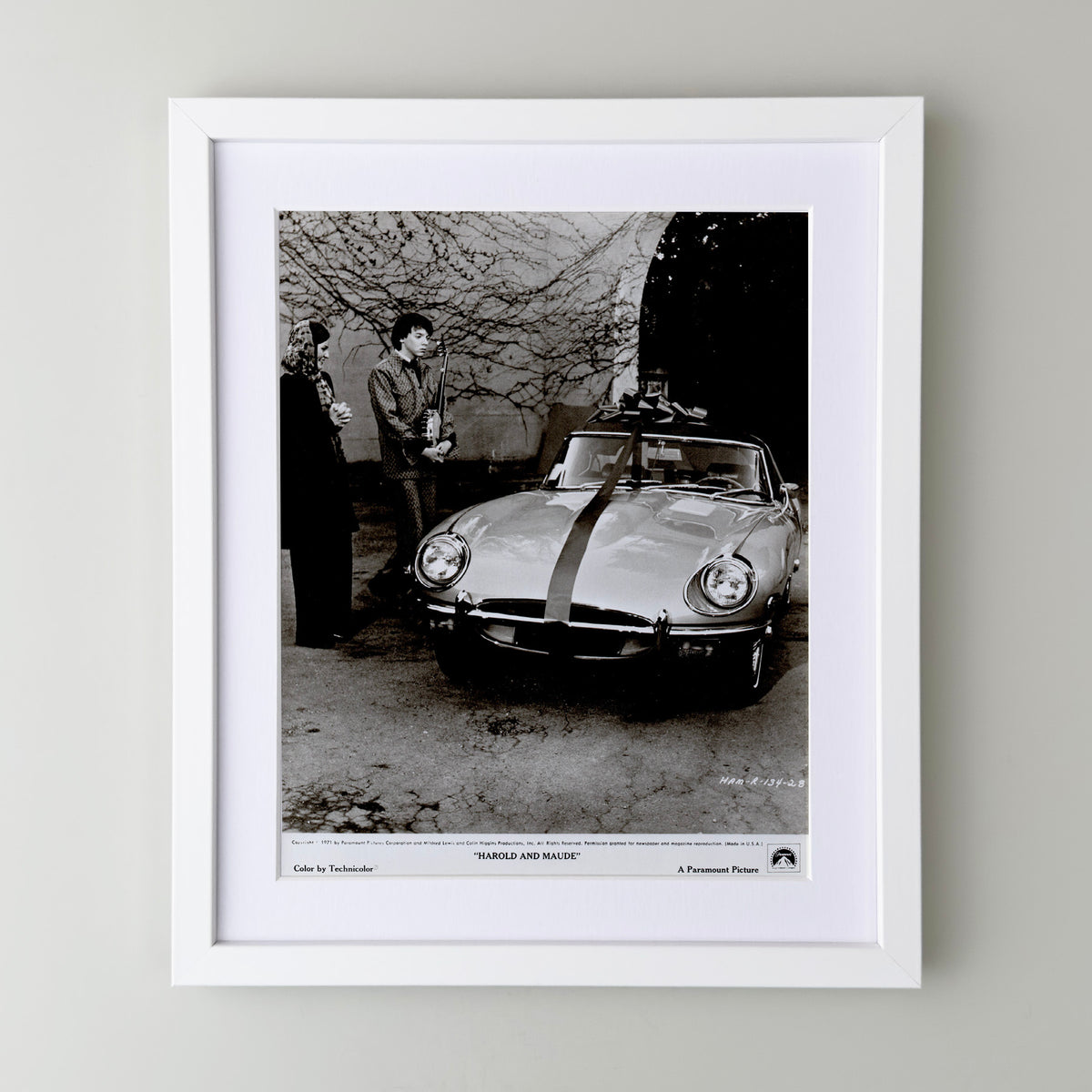 Harold and Maude 1971 Film Movie Press Publicity Still Framed