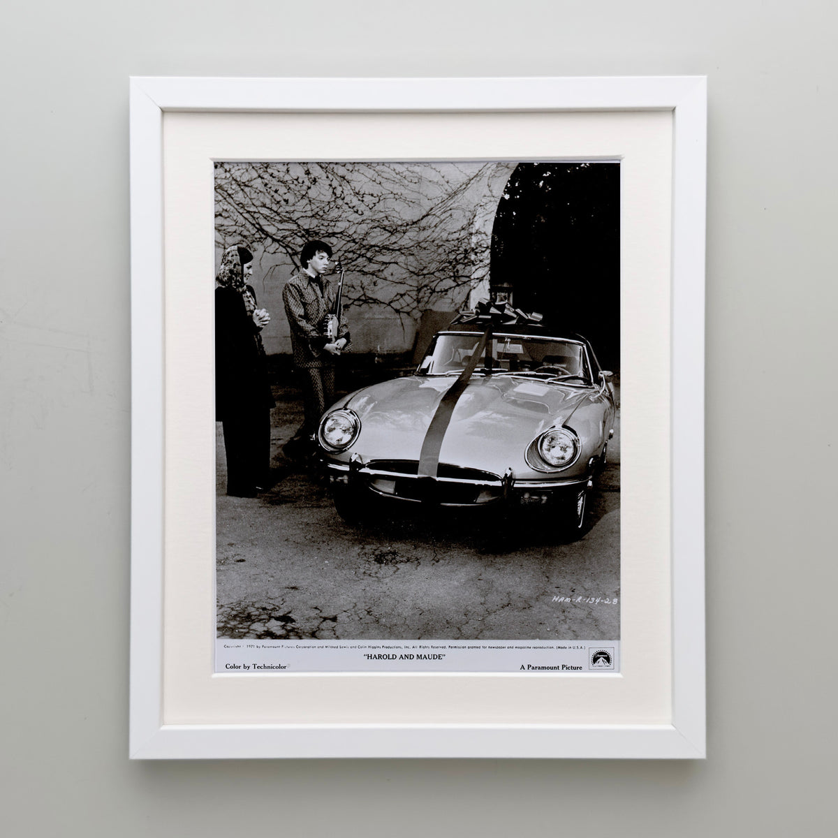 Harold and Maude 1971 Film Movie Press Publicity Still Framed