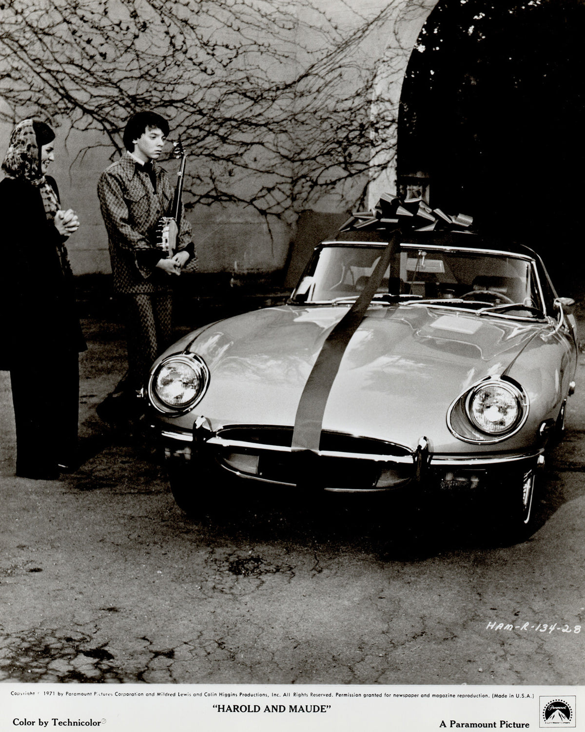 Harold and Maude 1971 Film Movie Press Publicity Still Framed