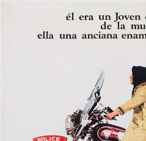 Harold and Maude 1972 Argentinian 1 Sheet Film Movie  Poster - detail