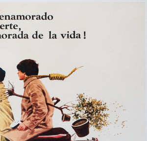 Harold and Maude 1972 Argentinian 1 Sheet Film Movie  Poster - detail