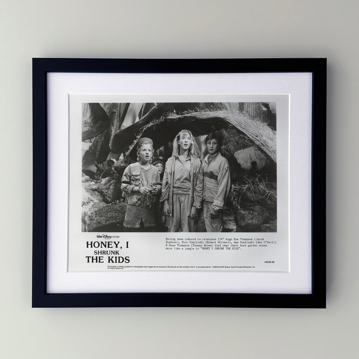 Honey I Shrunk the Kids 1989 Film Movie Press Publicity Still Framed