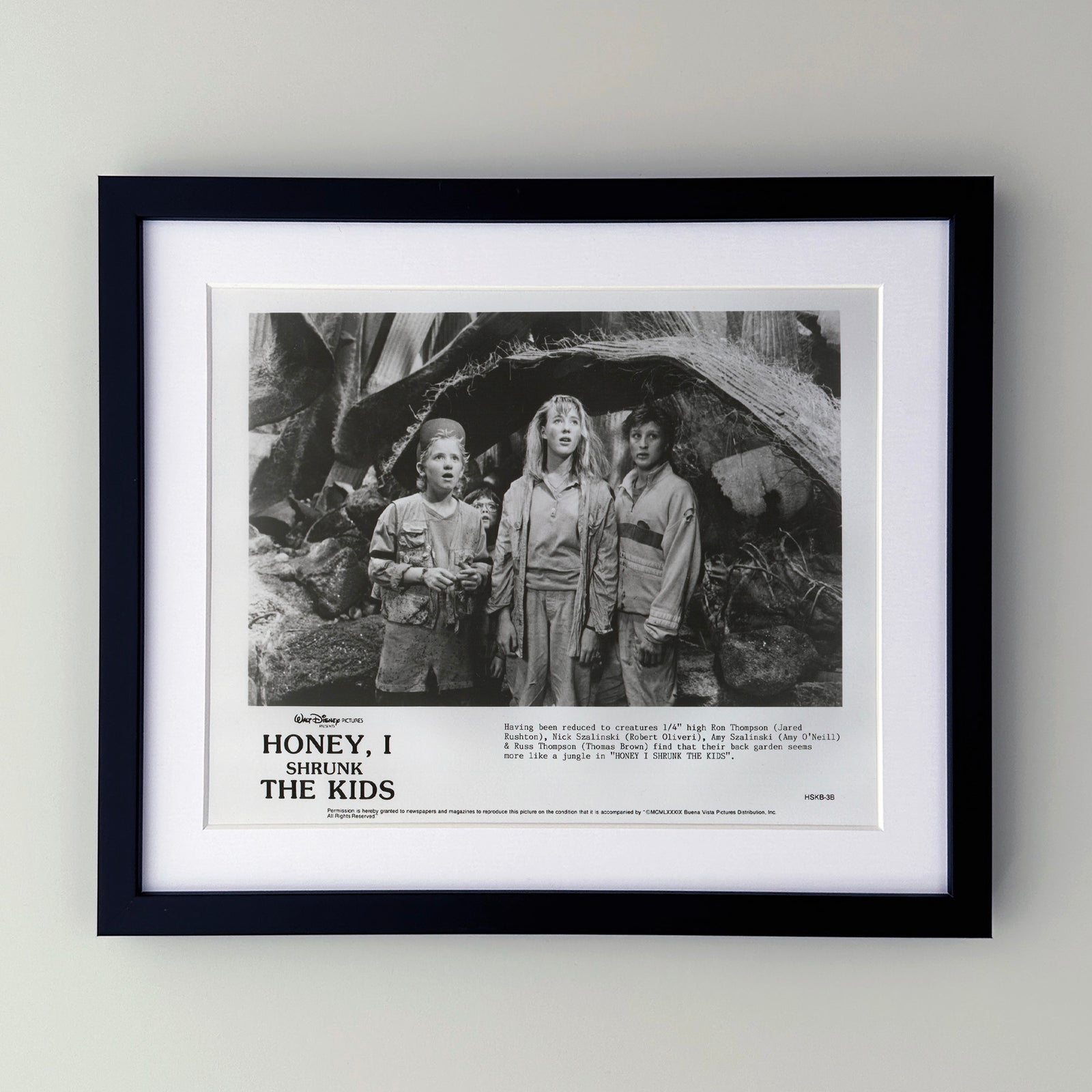Honey I Shrunk the Kids 1989 Film Movie Press Publicity Still Framed