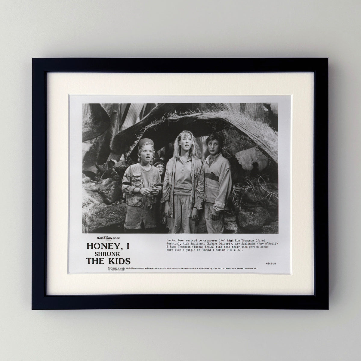 Honey I Shrunk the Kids 1989 Film Movie Press Publicity Still Framed