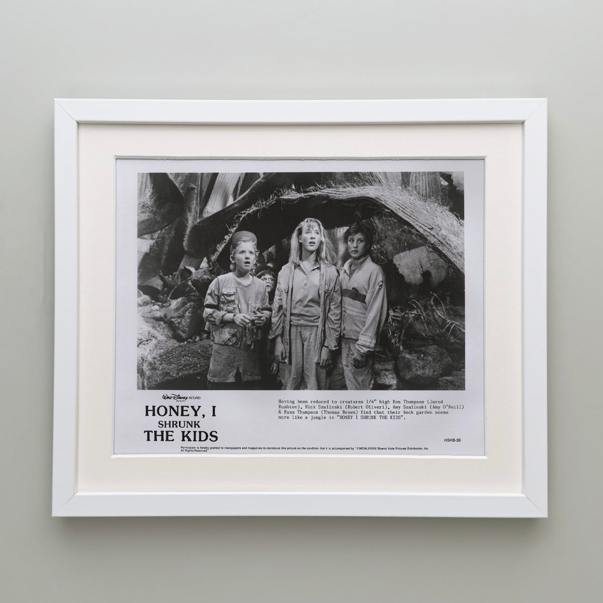 Honey I Shrunk the Kids 1989 Film Movie Press Publicity Still Framed