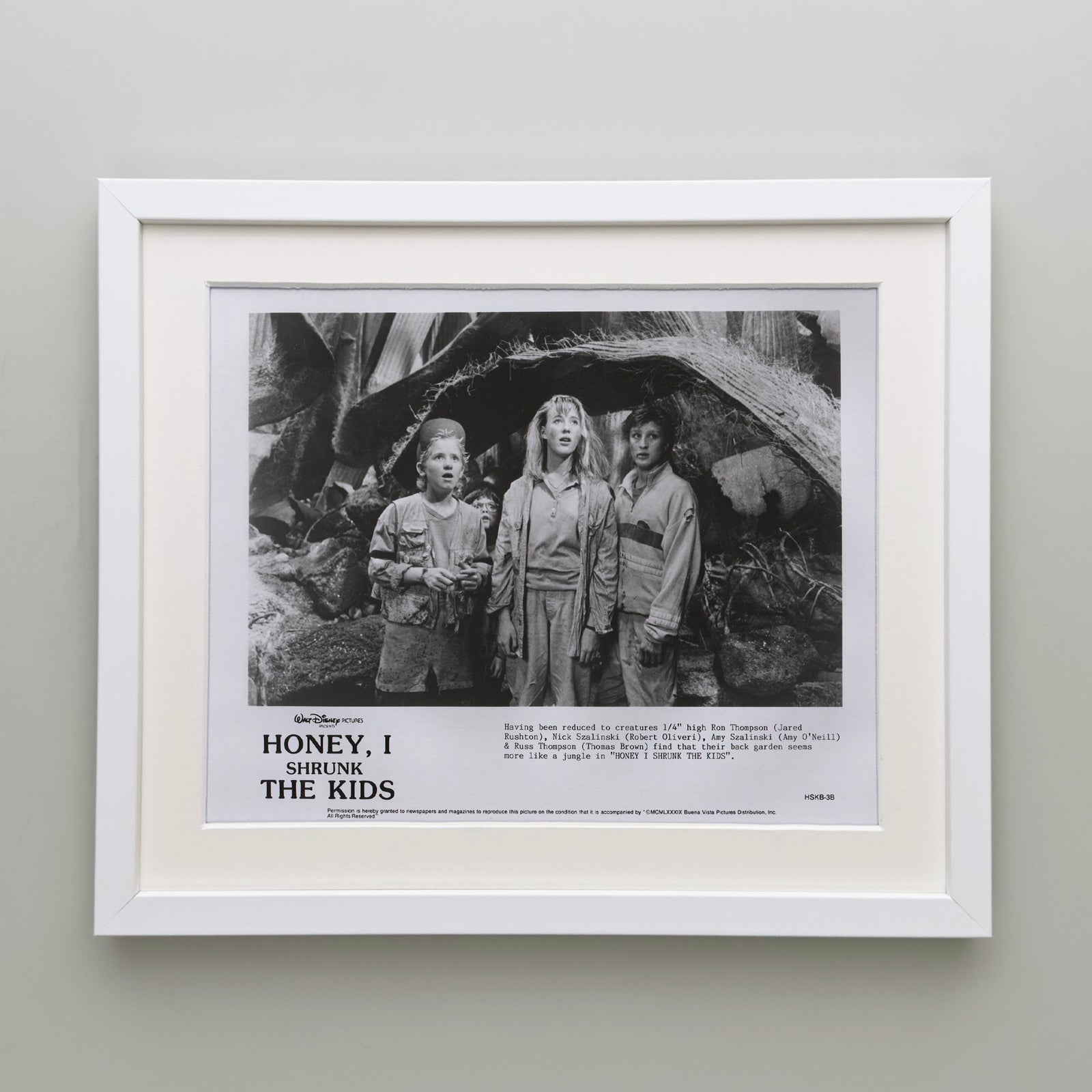Honey I Shrunk the Kids 1989 Film Movie Press Publicity Still Framed