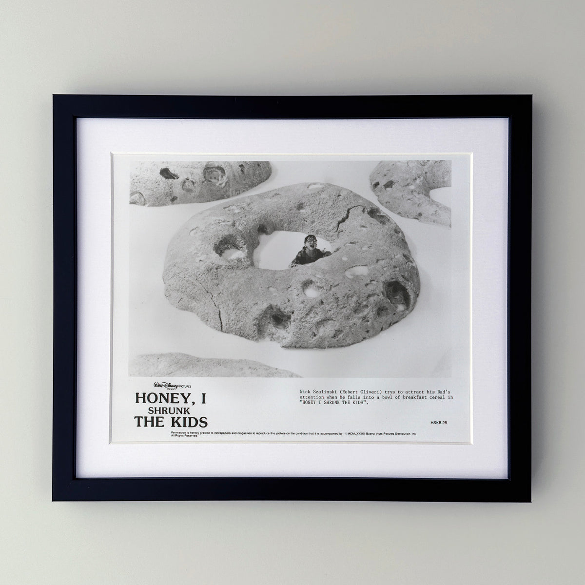 Honey I Shrunk the Kids 1989 Film Movie Press Publicity Still Framed