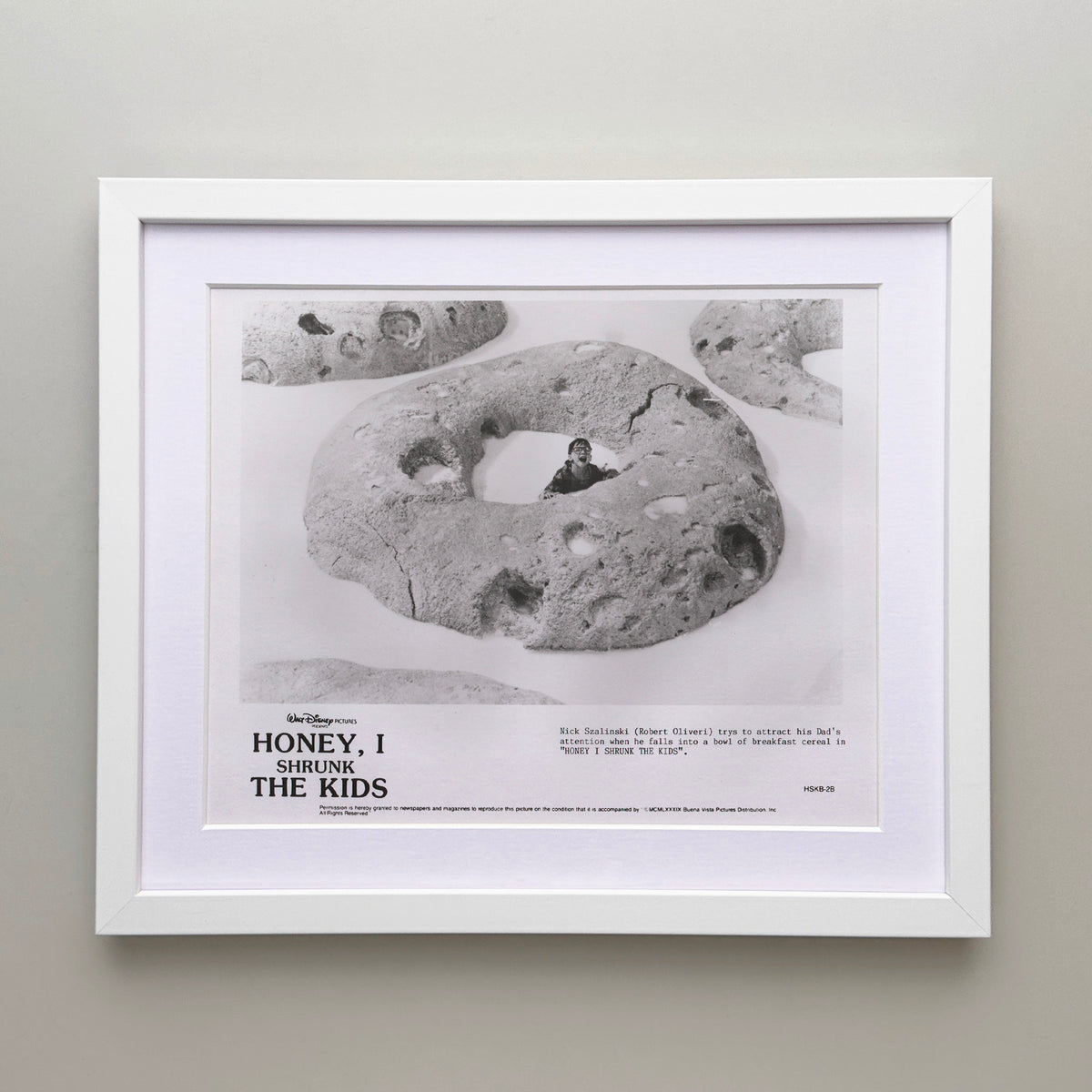 Honey I Shrunk the Kids 1989 Film Movie Press Publicity Still Framed