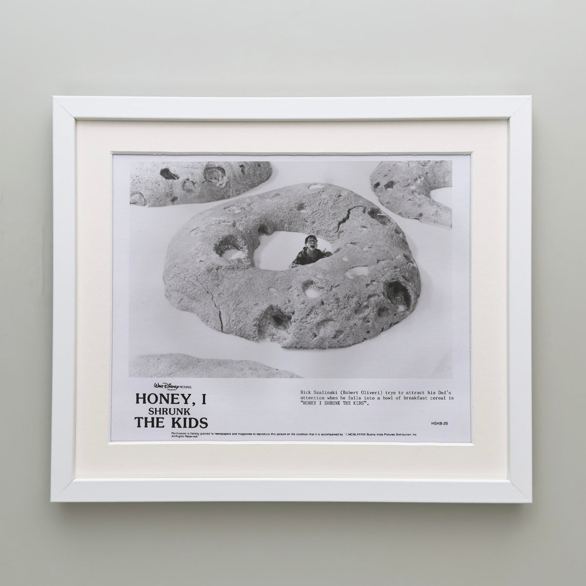 Honey I Shrunk the Kids 1989 Film Movie Press Publicity Still Framed