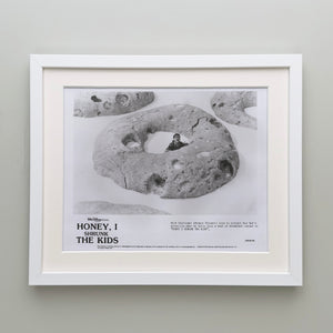 Honey I Shrunk the Kids 1989 Film Movie Press Publicity Still Framed