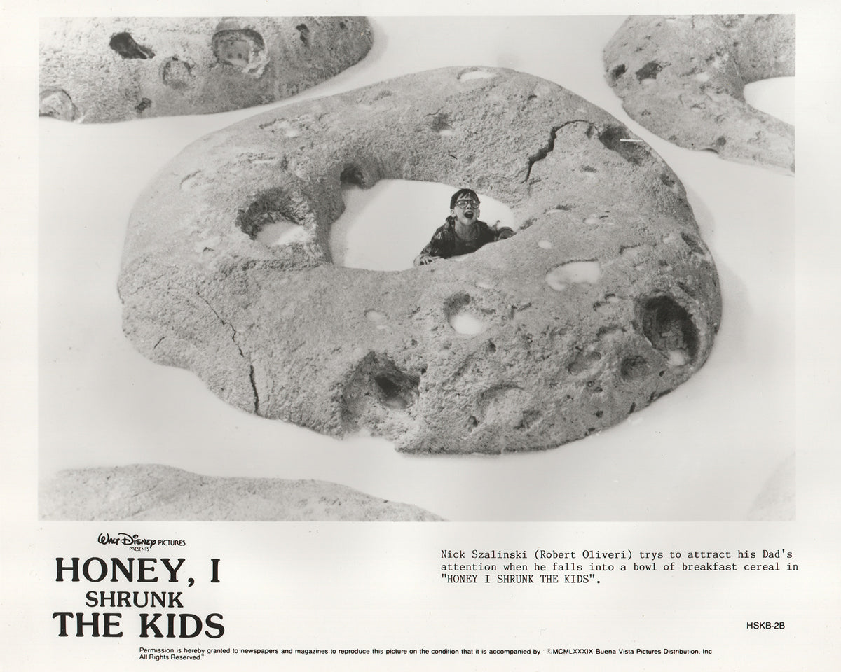 Honey I Shrunk the Kids 1989 Film Movie Press Publicity Still Framed