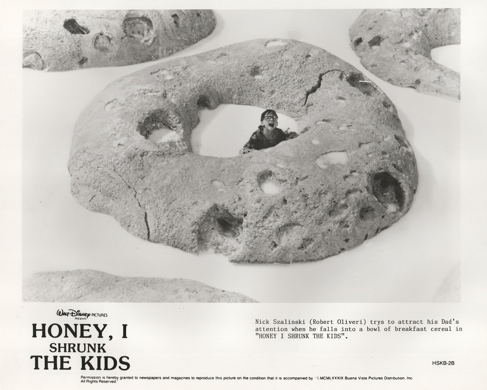 Honey I Shrunk the Kids 1989 Film Movie Press Publicity Still Framed