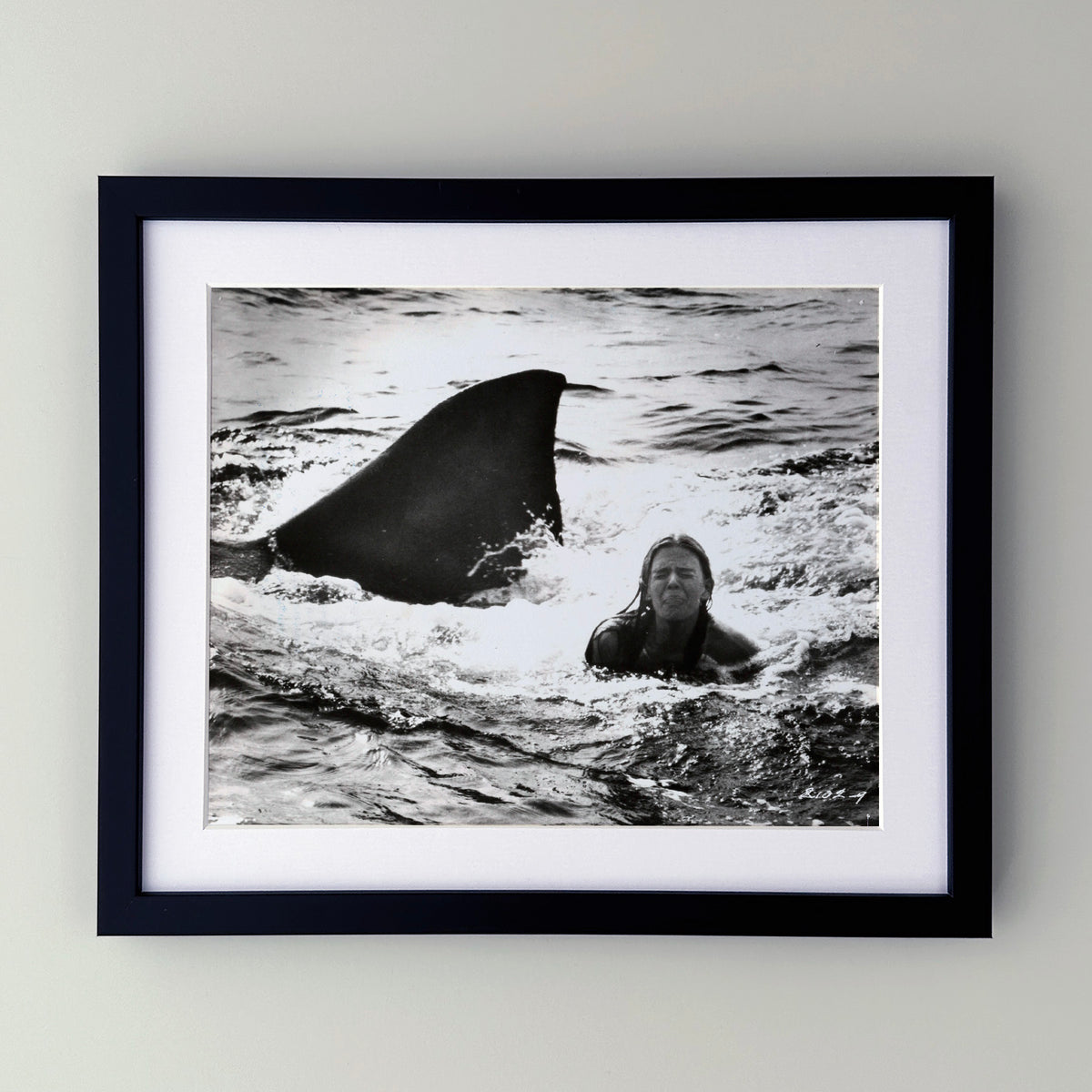 Jaws 2 1978 Publicity Film Movie Press Still Framed