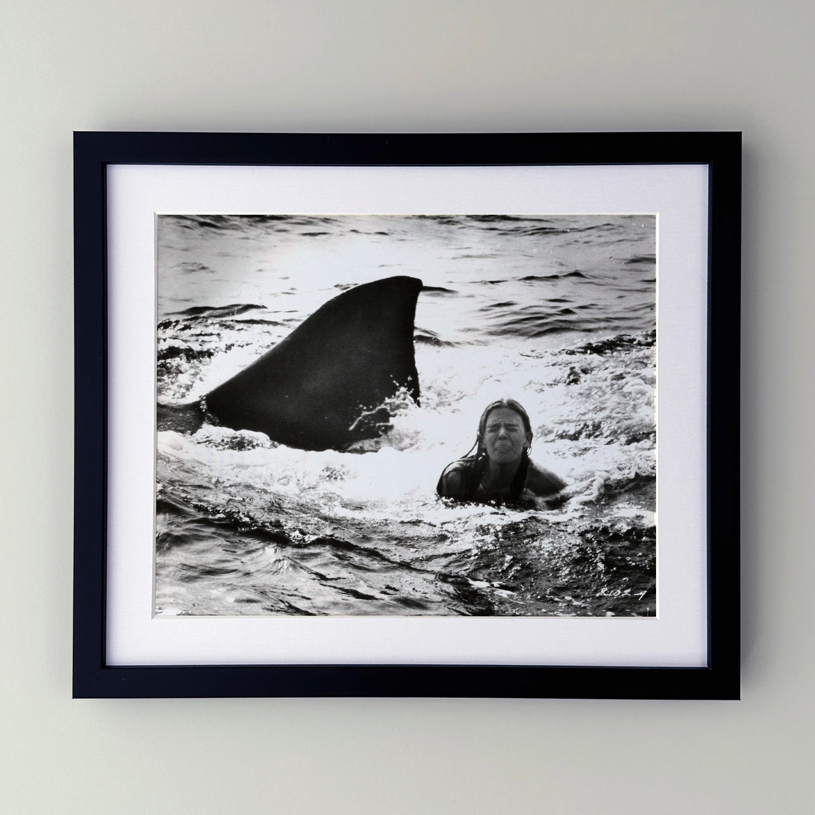Jaws 2 1978 Publicity Film Movie Press Still Framed