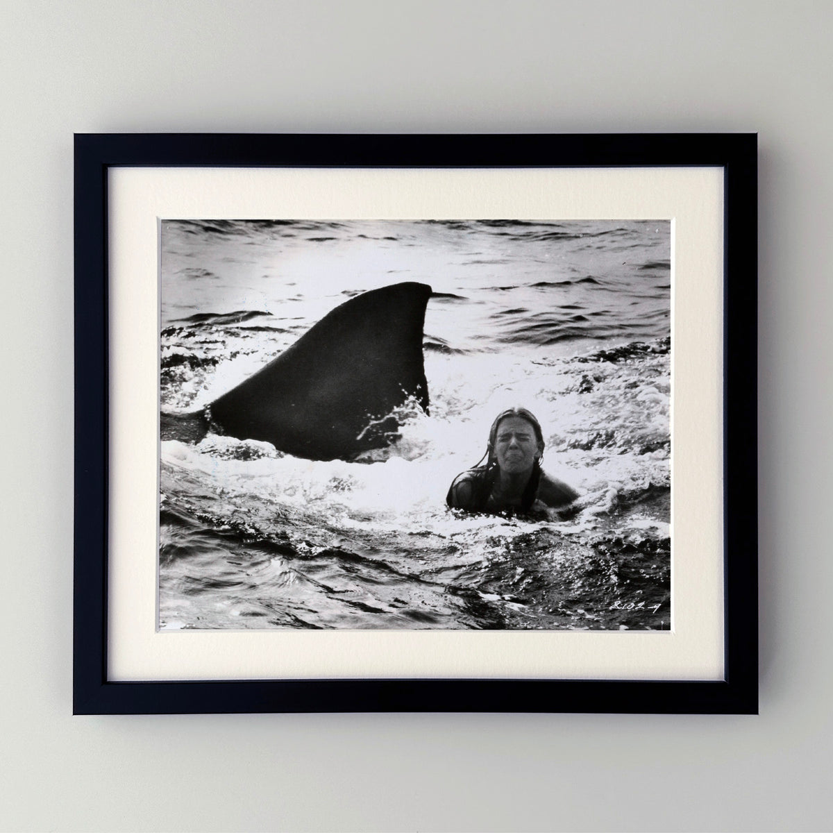 Jaws 2 1978 Publicity Film Movie Press Still Framed