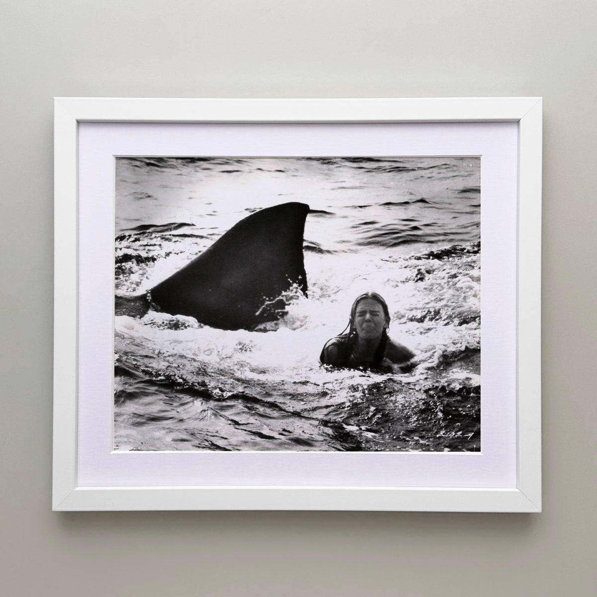 Jaws 2 1978 Publicity Film Movie Press Still Framed