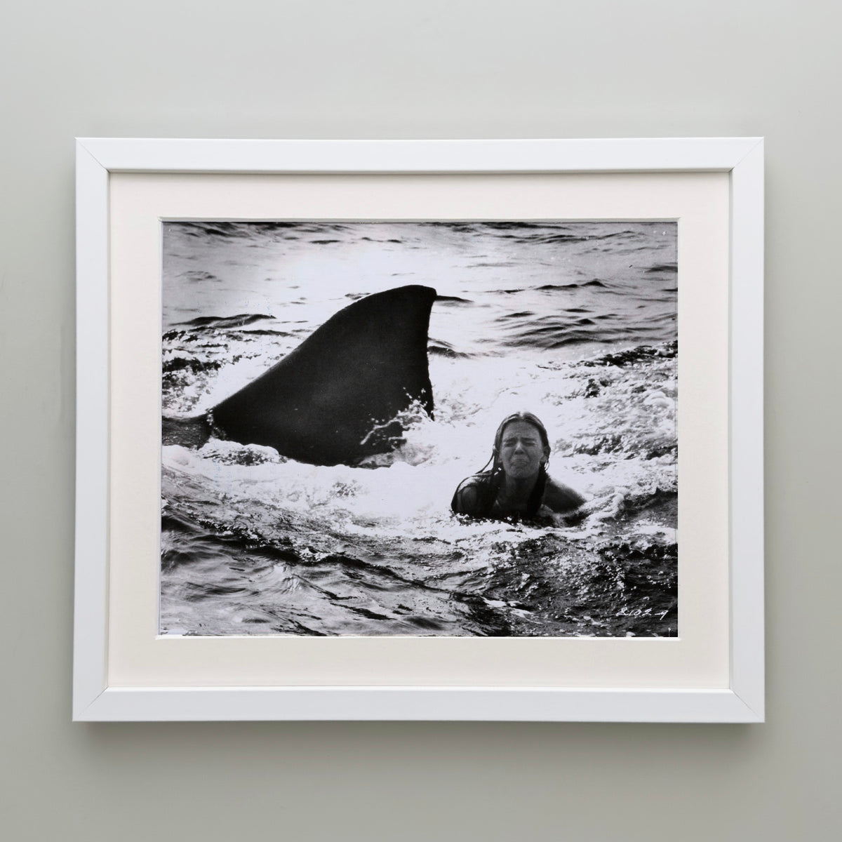 Jaws 2 1978 Publicity Film Movie Press Still Framed