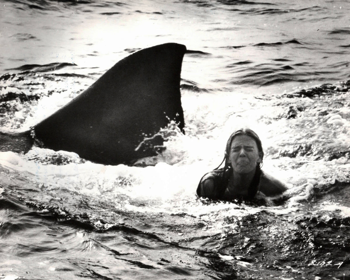 Jaws 2 1978 Publicity Film Movie Press Still Framed
