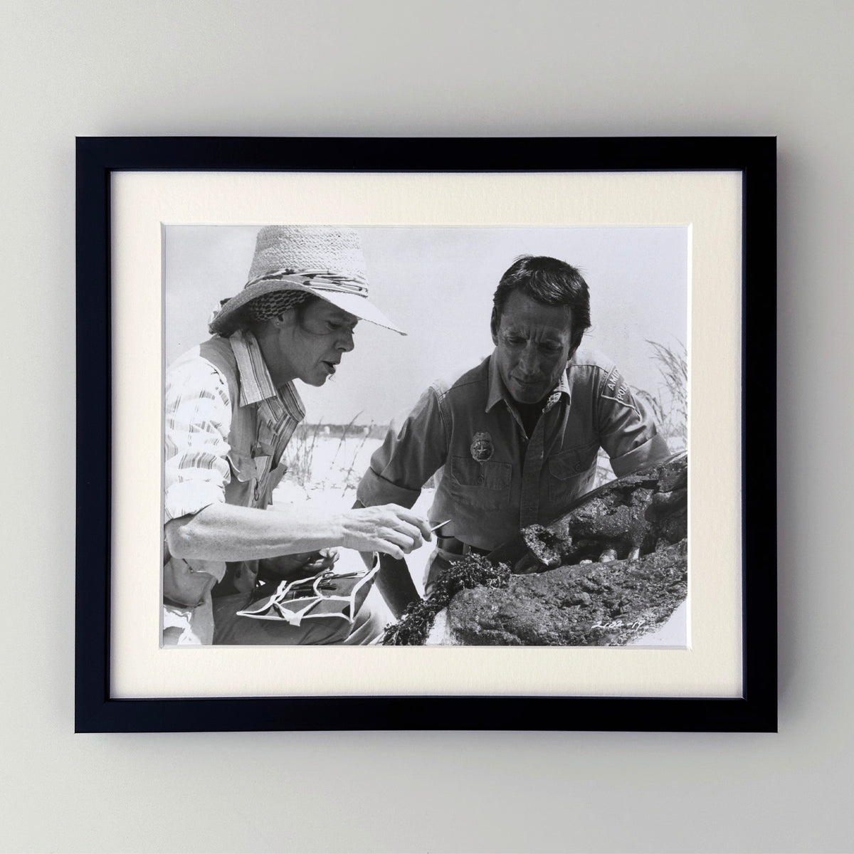 Jaws 2 1978 Publicity Film Movie Press Still Framed