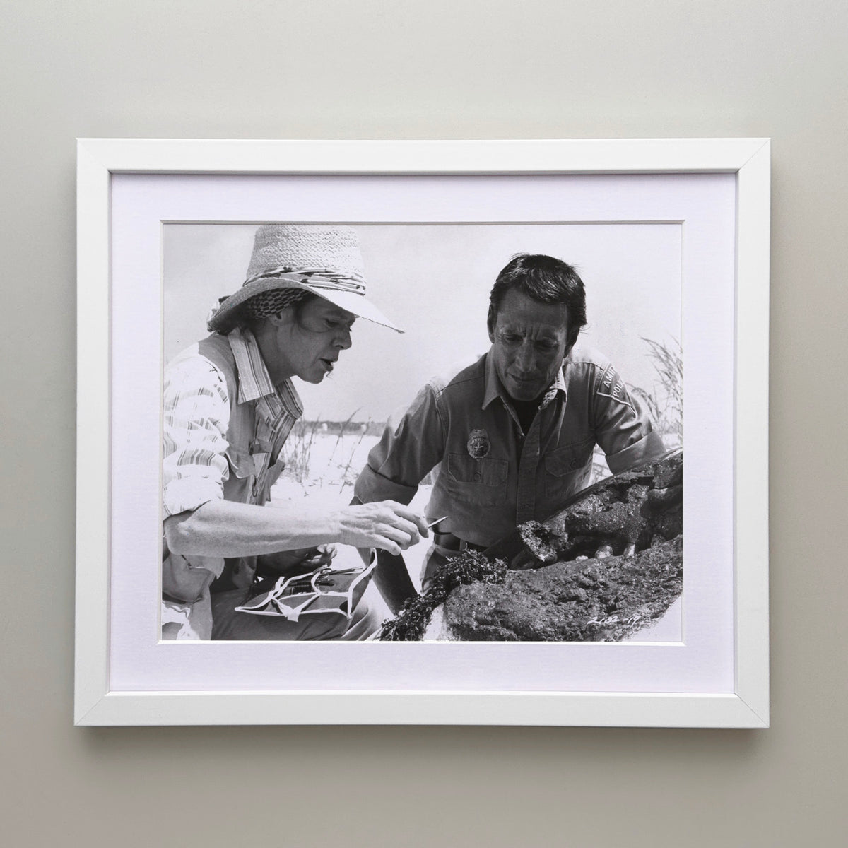 Jaws 2 1978 Publicity Film Movie Press Still Framed