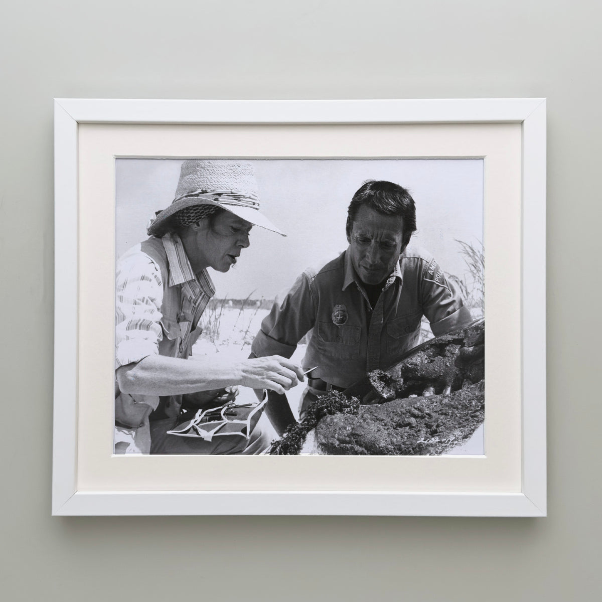 Jaws 2 1978 Publicity Film Movie Press Still Framed