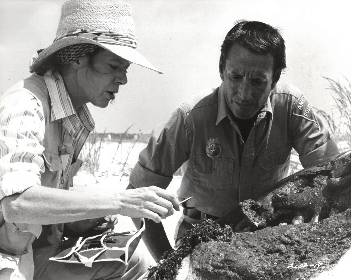 Jaws 2 1978 Publicity Film Movie Press Still Framed