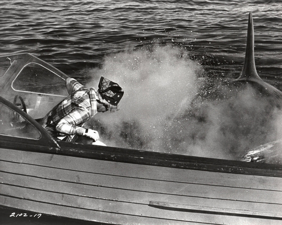 Jaws 2 1978 Publicity Film Movie Press Still Framed